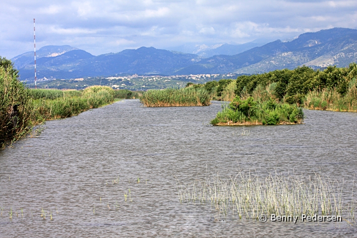 Parque natural de s'Albufera 3.jpg - Parque natural de s'Albufera er en meget stor naturpark lige uden forAlcùdia